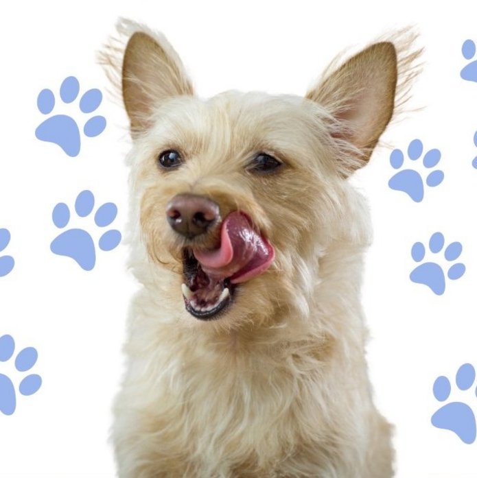 [Translate to English:] plakat ozdobny informujący o akcji