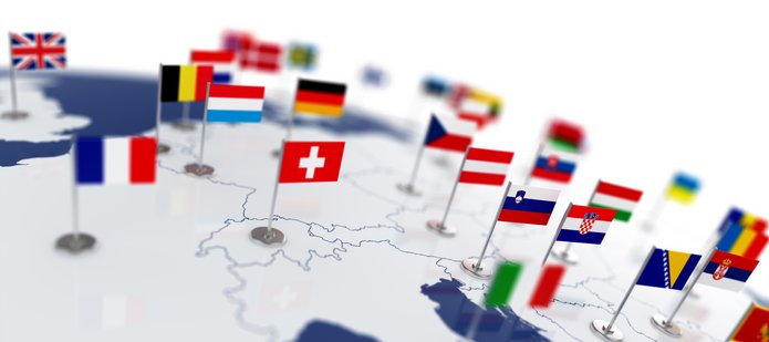 zdjęcie dekoracyjne