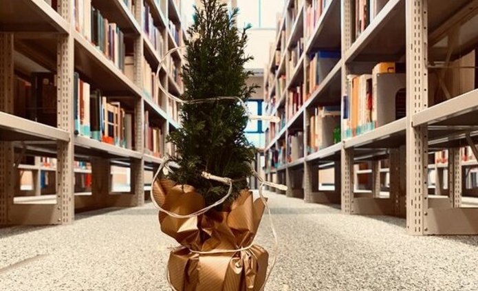 Mała choinka w doniczce ustawiona między regałami książek w Bibliotece UŁ.