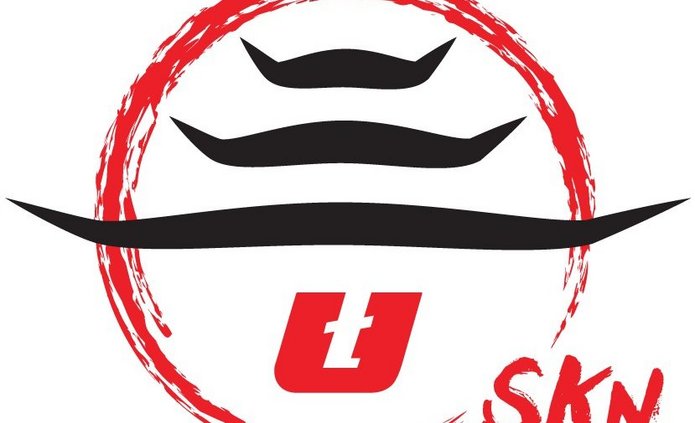 logo skn