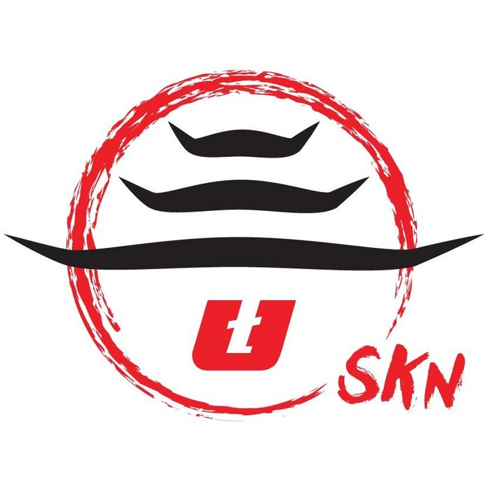 logo skn