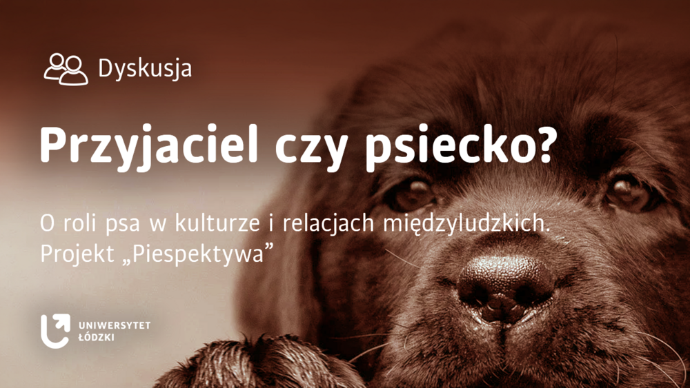 Na zdjęciu jest pyszczek psa - szczeniaka maści czarnej