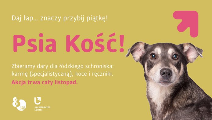 Czarno biały pies na żóltym tle i napis: Psoa kość! Zbieramy dary dla łódzkiego schroniska: karmę (specjalistyczną), koce i ręczniki. Akcja trwa cały listopad.