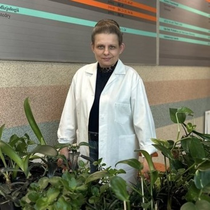 Rośliny na kiermasz, zdjęcie