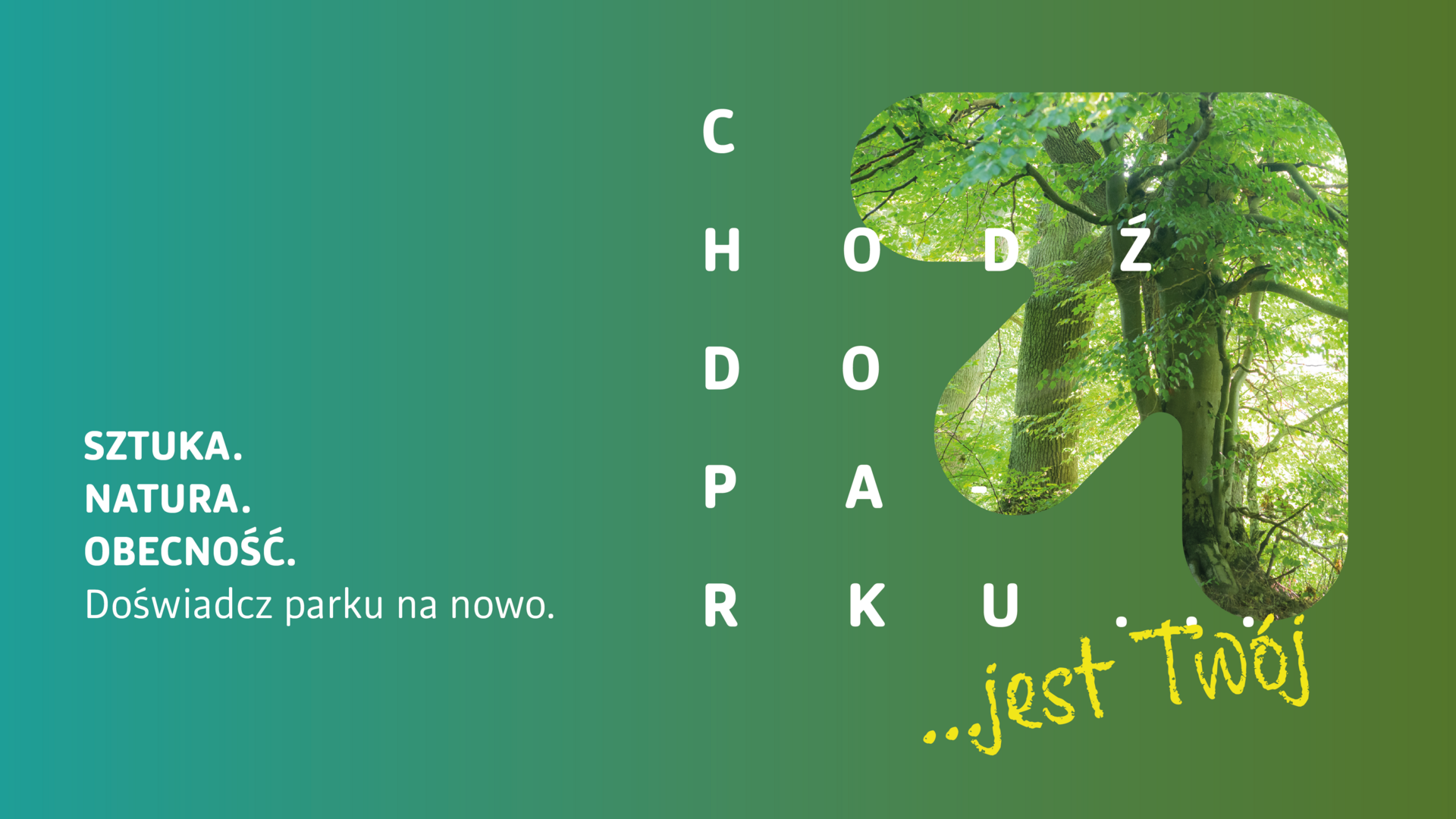 Na zdjęciu widać drzewo, które jest wpisane w strzałę oraz napisy chodź do parku jest twój, sztuka, natura, obecność, doświadcz parku na nowo