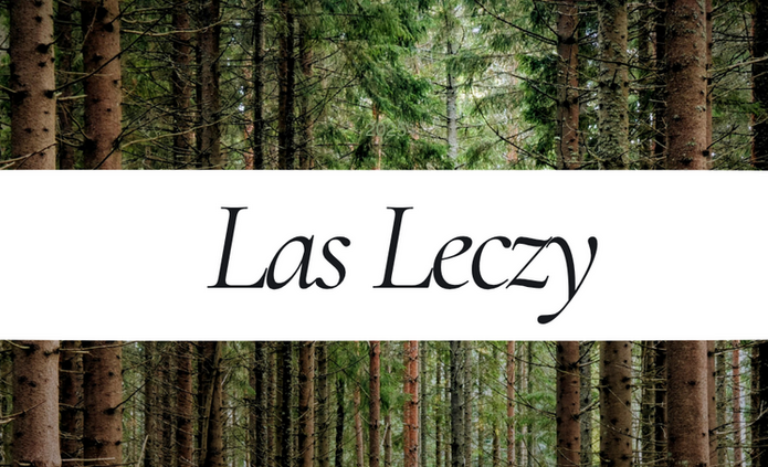 Zdjęcie lasu z napisem "Las Leczy"