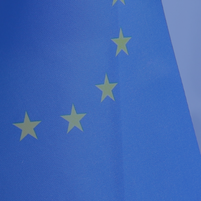 zdjęcie dekoracyjne