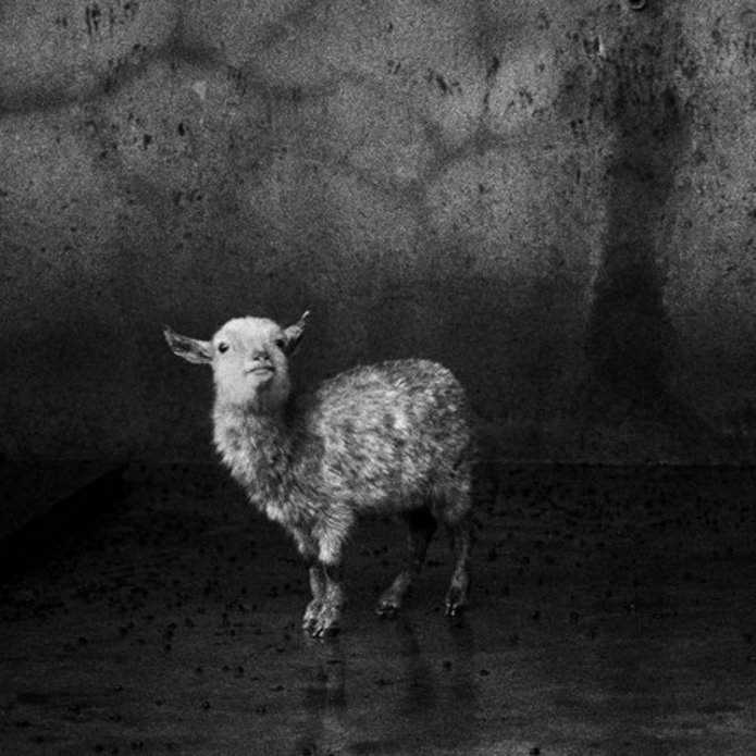 [Translate to English:] foto