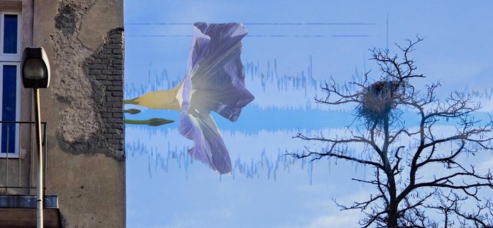 Zdjęcie przedstawia fragment ściany budynku, znajduje się on z lewej strony. Z budynku wyrasta kwiat, którego wielkość jest przeskalowana w stosunku do budynku. W tle błękitne niebo. Z prawej strony widać drzewo bez liści z jednym gniazdem na gałęziach.