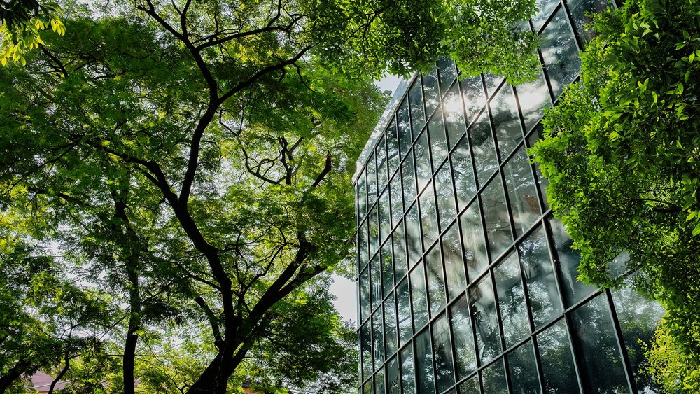 modern glass office building with big trees around it